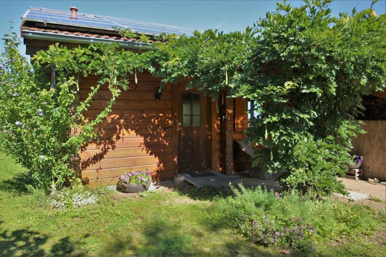 Villa Norwegisches Blockhaus à Bad Muenstereifel Extérieur photo